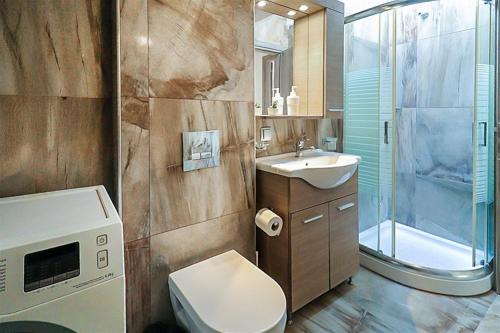 ハニオティスにあるTwins House Hanioti 2 bedrooms 6 guestsのトイレ、洗面台、シャワー付きのバスルーム