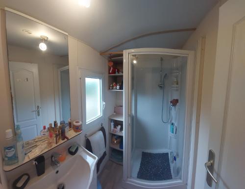 une salle de bain avec douche et lavabo dans l'établissement Mobil home près du lac - camping Poney, à Sainte-Croix-de-Verdon
