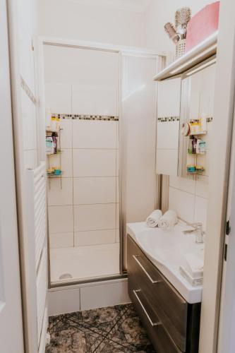 Vienna City Apartment - Belvedere