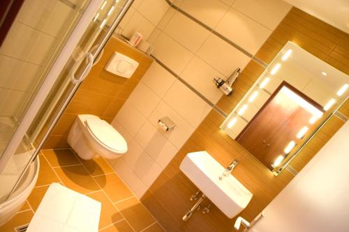 een badkamer met een toilet, een wastafel en een spiegel bij Klaus im Weinviertel in Wolkersdorf