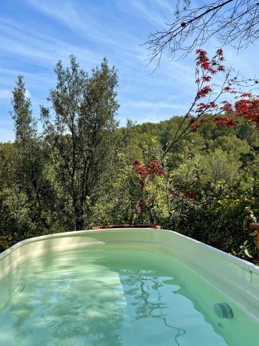 - une piscine avec vue sur la forêt dans l'établissement Le Cabanon des Morilles, à Meyreuil