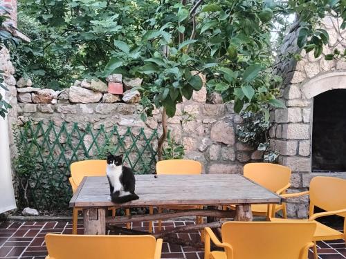 Φωτογραφία από το άλμπουμ του Casa Soraia nell'isola dei sogni σε Mali Lošinj