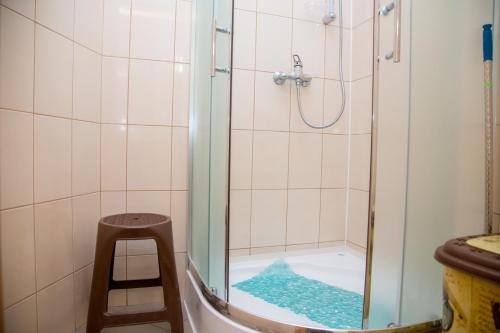 a shower with a glass door in a bathroom at Lions Heart Hostel in Lviv