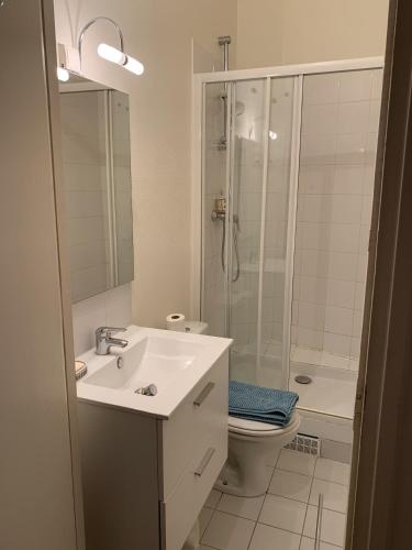 une salle de bain avec un lavabo, une douche et des toilettes dans l'établissement Eiffel Tower - Quiet, charming apartment - 2 prs, à Paris
