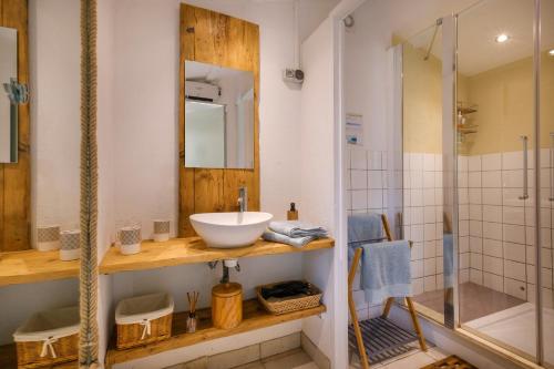 une salle de bain avec un lavabo et une douche dans l'établissement Les Iris le Lac de la Vallée, à La Roquette-sur-Siagne