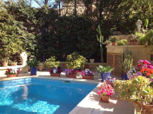 a swimming pool in a garden with potted plants at Dar tal-Kaptan Boutique Maison in Għasri