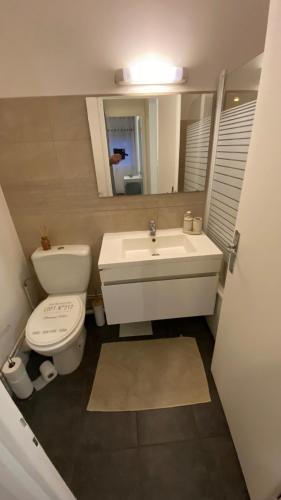 une salle de bain avec toilettes, lavabo et miroir dans l'établissement Appartement proche plage, aéroport, tram, à Nice