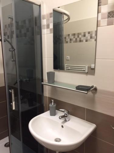 a bathroom with a sink and a mirror at Pension Kotva in Beroun