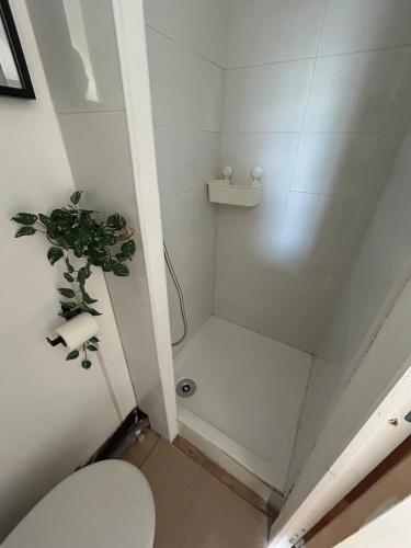 a bathroom with a shower with a toilet and a plant at Studio 50m de la mer in Menton