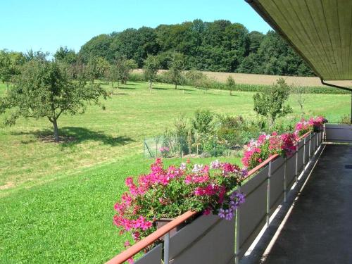 a row of flowers on a fence with a field at Fewo Siglinde Schneider in Freiamt