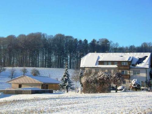 a building with snow on it in a snowy field at Fewo Siglinde Schneider in Freiamt