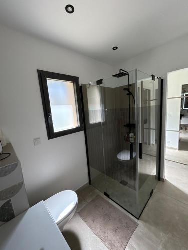 une salle de bain avec une douche en verre et des toilettes dans l'établissement Charmante maison avec piscine et grand jardin, à LʼIsle-sur-la-Sorgue