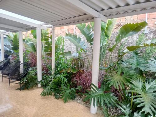 a patio with a bunch of plants at Família munhoz in Cananéia