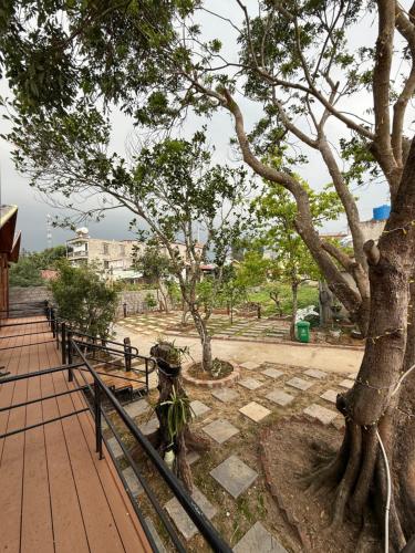 a park with a tree and a fence and benches at Cô Tô Homestay 368 in Chung Cap