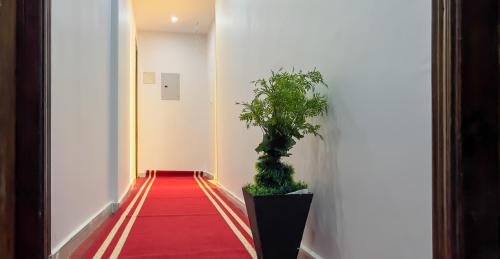 a corridor with a red carpet and a plant at Pyramids Tower view inn in Nazlat as Sammān