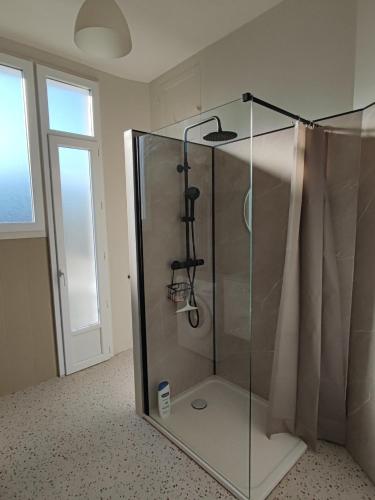 - une douche avec une enceinte en verre dans l'établissement Appartement lumineux refait à neuf, cœur de ville, à Vichy