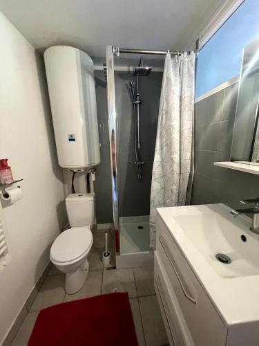 une salle de bain avec toilettes, douche et lavabo dans l'établissement Appartement Le Balcon de L'Oust, à Malestroit