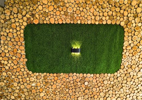a small plant in the middle of a field of grass at Grand Heights Hotel in Murree