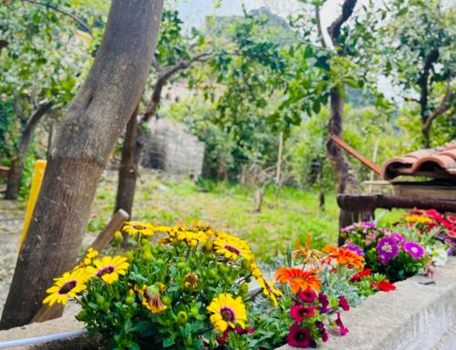 a bunch of flowers on a stone ledge at SokratesVilla in Mystras