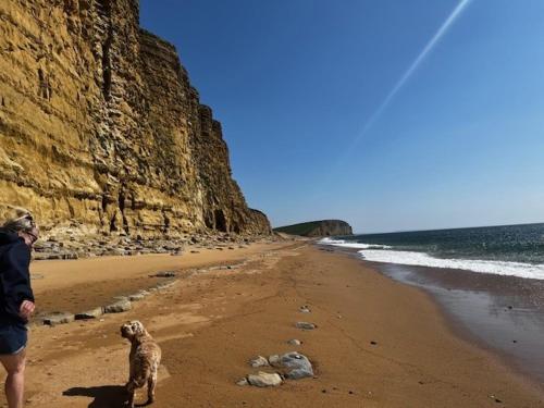a woman standing on a beach with a dog at Static Caravan on the Jurassic Coast at Freshwater Beach Holiday Park in Burton Bradstock
