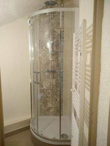 a shower with a glass door in a bathroom at La tour du logis in Chéneché