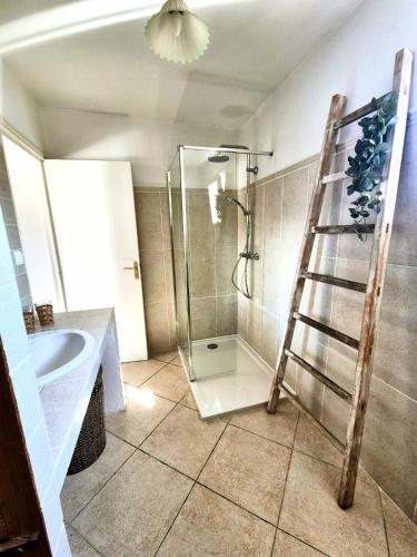 La salle de bains est pourvue d'une douche et d'une échelle. dans l'établissement A Bella Gaia, à Cauro