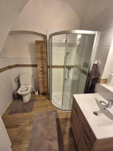 a bathroom with a shower and a toilet and a sink at Apartmá Na palírně in Třebíč
