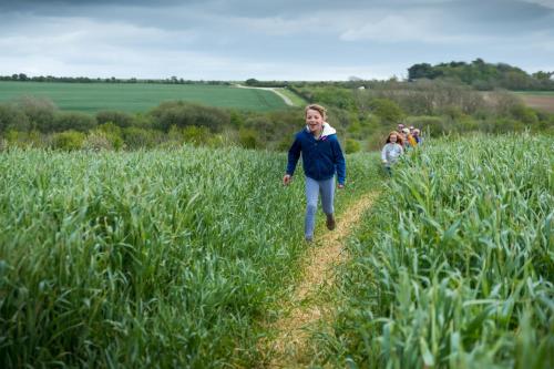 a woman walking through a field of tall grass at Little Lodge At Tapnell Farm in Isle of Wight