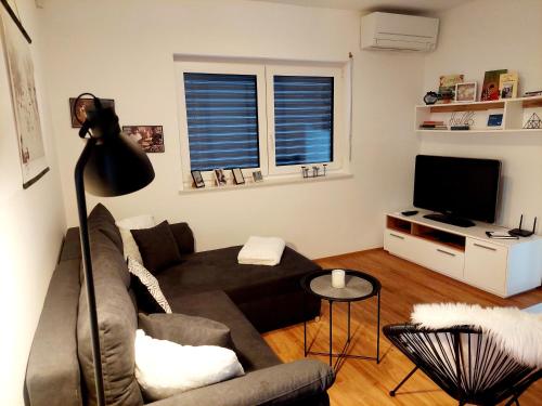TV a/nebo společenská místnost v ubytování Apartment ALMA - to travel is to live