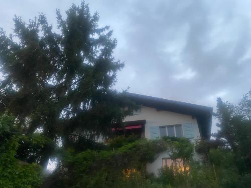 a white house with a tree in front of it at Vu sur le lac et les neiges éternelle in Thun