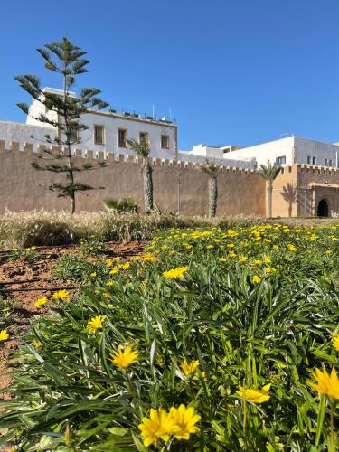 a field of yellow flowers in front of a wall at Joli appartement à Essaouira in Essaouira