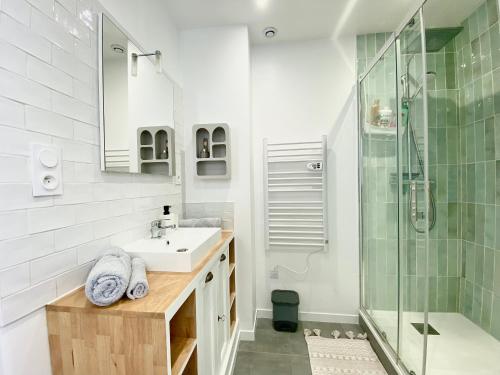 une salle de bain avec un lavabo et une douche dans l'établissement Grand studio rénové avec goût au coeur d'Angers, Centre des Congrès, à Angers