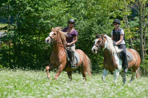 two people riding on horses in a field at Gasthaus Mitterjager in Kirchdorf in Tirol