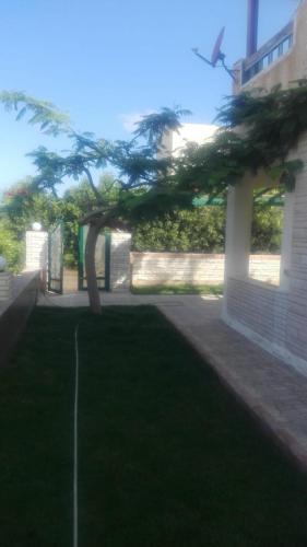 Φωτογραφία από το άλμπουμ του شاليه للايجار σε Dawwār Ḩalīs