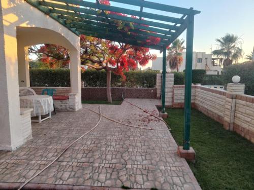 Κήπος έξω από το شاليه للايجار