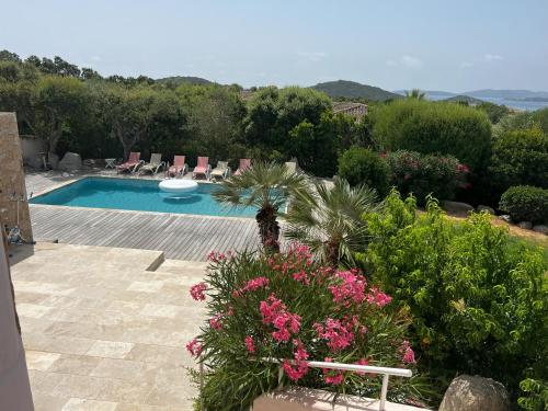 - une piscine avec des fleurs roses dans une cour dans l'établissement Villa Lorinadu Panoramic View of Sea and Mountain, à Zonza