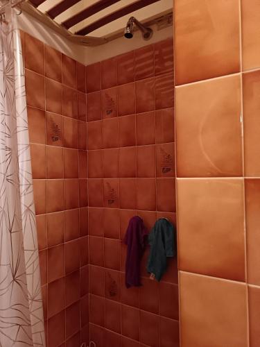 Un baño de Mono-Selene