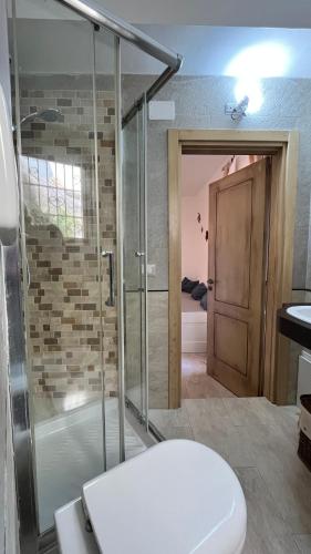 a bathroom with a glass shower and a toilet at Apartment Casa Beatrice in Pizzo