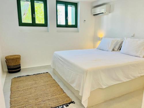 Naousa Paros Beach Front House