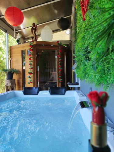 une baignoire jacuzzi au milieu d'une maison dans l'établissement Spassionnement, à Le Passage