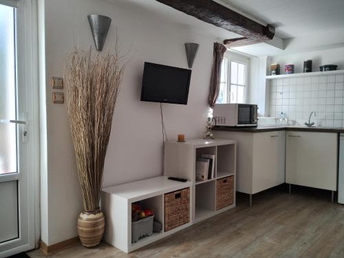 a kitchen with a tv on a wall at Charmants studios "Le Nid de Lou" et "Le Cocon de Théo" à Rosheim in Rosheim