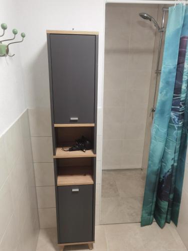 a shower stall with a mirror in a bathroom at Ferienwohnung am Backhaus 3 in Weimar