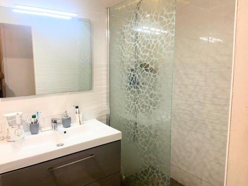 une salle de bain avec un lavabo et une douche en verre dans l'établissement Duplex with Private Garden, Lake Access Paris and Disney, à Torcy