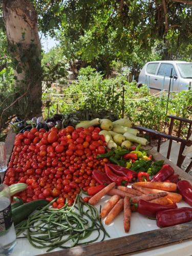 a pile of vegetables sitting on a table at BELLA-CAZA in Mákri