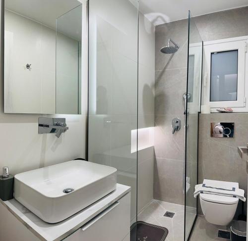Central Apartment At Pangrati