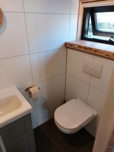 ZuidwoldeにあるEgelantierのトイレと洗面台のある小さなバスルーム
