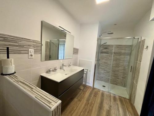une salle de bain avec un lavabo et une douche avec un miroir dans l'établissement Le Clos des Fagettes, à Salles-Curan