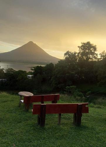 two benches sitting in the grass with a mountain in the background at Arenal Base Camp in El Castillo de La Fortuna