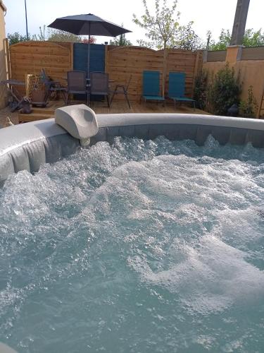 - un bassin profond avec de l'eau dans l'arrière-cour dans l'établissement Le Petit Marais, à Échiré