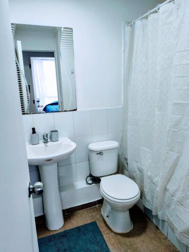 a bathroom with a toilet and a sink and a mirror at Departamento Corcovado in Puerto Montt
